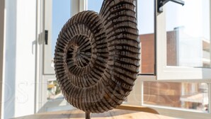 En spiralformad skulptur på ett trästativ i ett rum med stora fönster.