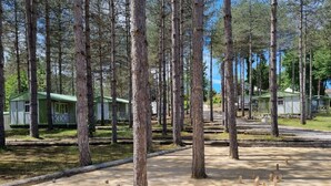 Ett rekreationsområde med en sandplan för krokett, omgivet av höga träd och små stugor.