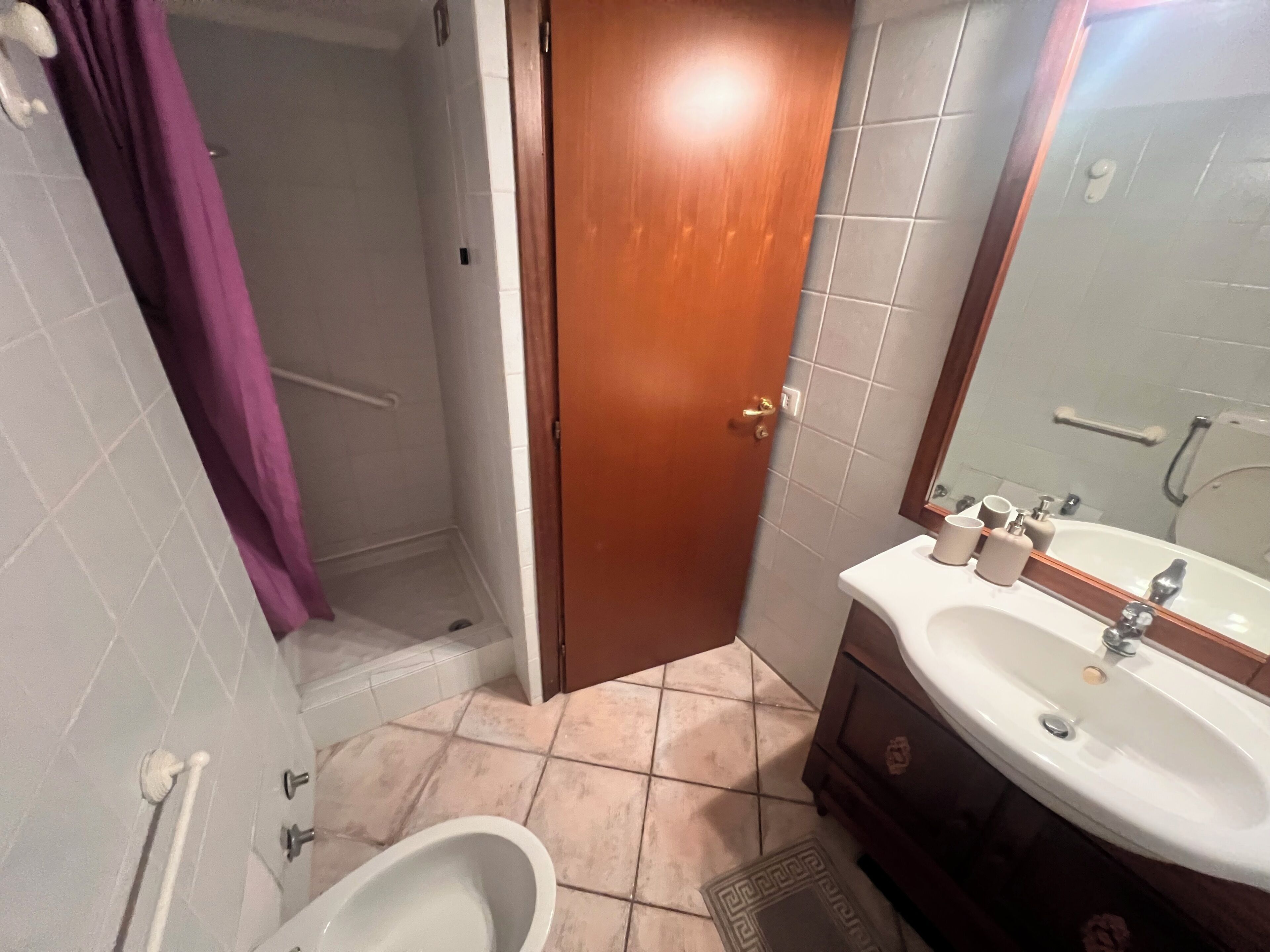Hair dryer, bidet, towels, soap