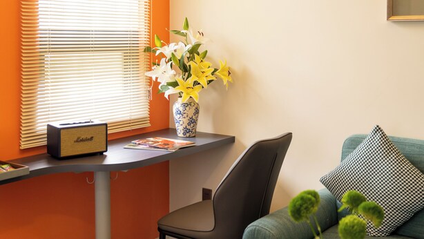 Une pièce comprenant un bureau, une chaise et un canapé avec un coussin.