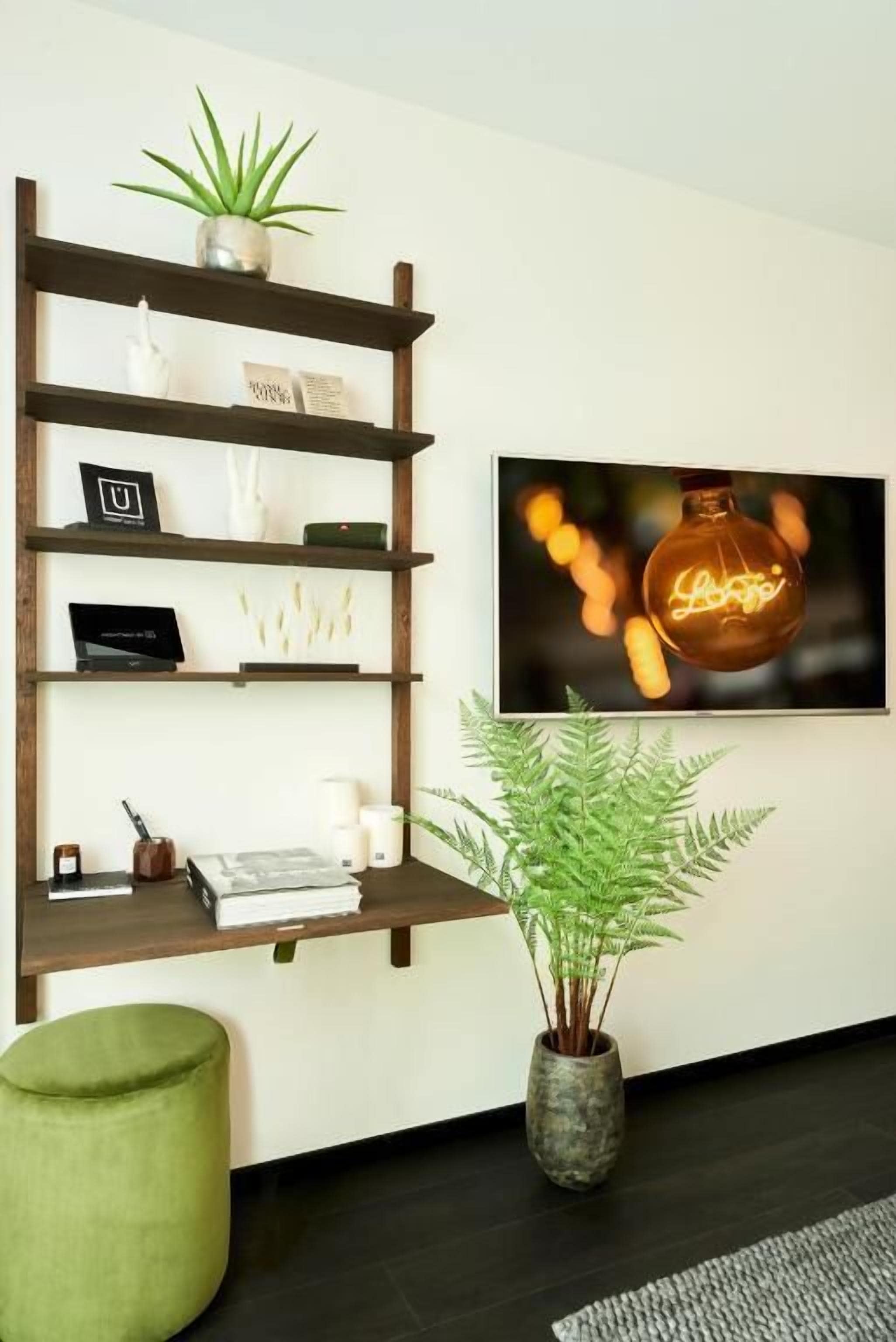 A wall-mounted wooden shelf with decorative items, a television, and a potted plant.