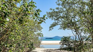 Un sentiero che conduce a una spiaggia, fiancheggiato da alberi.