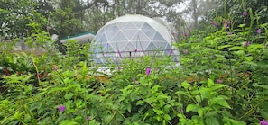 Àrea exterior de l'allotjament