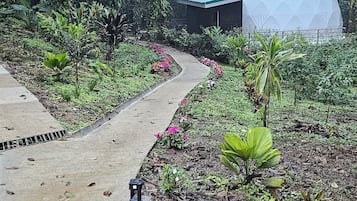 Enceinte de lâhĂ©bergement