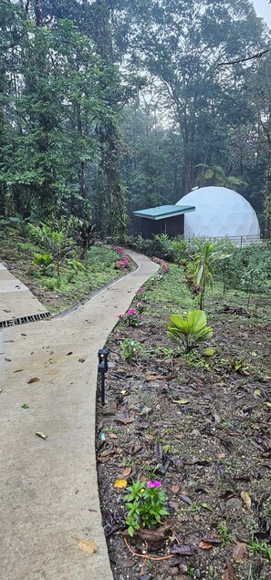Property grounds - Rio Celeste Water Fall, 1 mile to Tenorio national park- Luxury Jungle Glamping (Guatuso)