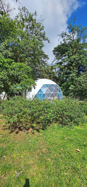 Exterior - Rio Celeste Water Fall, 1 mile to Tenorio national park- Luxury Jungle Glamping (Guatuso)