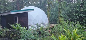 Property grounds - Rio Celeste Water Fall, 1 mile to Tenorio national park- Luxury Jungle Glamping (Guatuso)