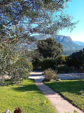 Ein Weg schlängelt sich durch einen Garten, im Hintergrund ist ein Berg zu sehen.