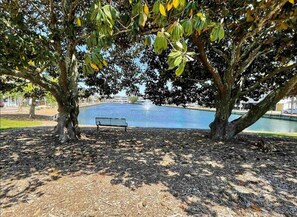 Property grounds - S38 Ocean Lakes Golf Cart β±οΈποΈπ©±ππβοΈπ (Myrtle Beach)