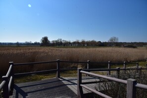 Property grounds - Spacious vacation apartment, on the Baltic Sea, with own garden, with own e-charging station (Behrensdorf (Ostsee))