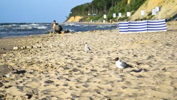 Uma praia arenosa com uma gaivota, um guarda-sol listrado e uma pessoa ao fundo.