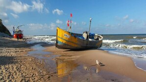 A beach with a boat named RWL-2, a red lifeboat, and a seagull on the sand. - Comfortable Holiday Home , Summer Pool (Rewal)