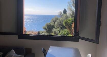 Bastidon at Domaine du Bau Rouge, Carqueiranne. Terrace and sea access on foot.