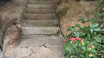 Terrein van de accommodatie