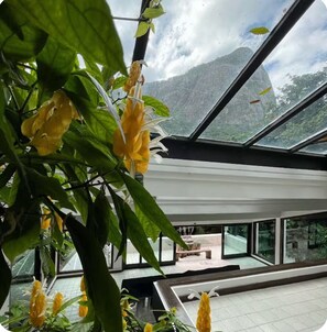 Un interior moderno con un gran ventanal, una planta con flores amarillas y vistas a la montaña.