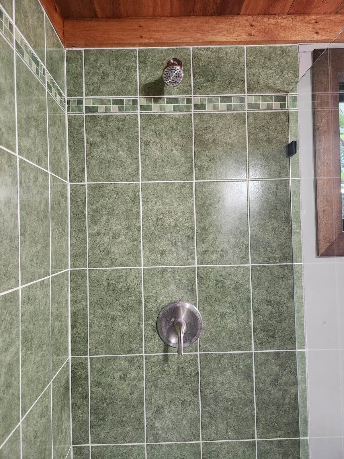 Shower, soap, toilet paper