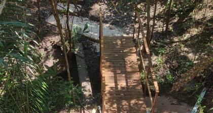 Enchanted Jungle Treehouse