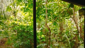 Une vue à travers une fenêtre à cadre noir, donnant sur une forêt dense composée de différents types d’arbres et de feuillages variés.