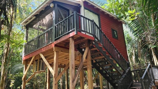 Une structure en bois surélevée, dotée d’un balcon, et entourée d’une végétation tropicale luxuriante.