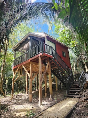 外観. Enchanted Jungle Treehouse
