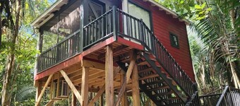 Enchanted Jungle Treehouse