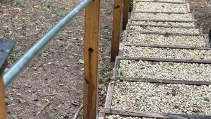 Un escalier en bois, doté de rampes métalliques, mène à un sentier qui traverse une forêt.