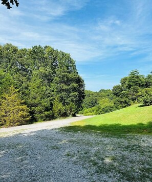 Miscellaneous - Entire 4bedroom House - Secluded Ozark Escape (Reeds spring)