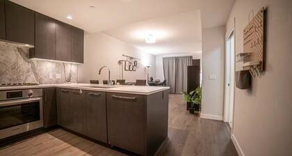 1 bedroom in Cambie Village - 1 block from King Edward Skytrain station