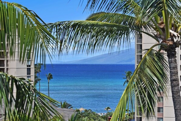 A view of a coastal area with a building and palm trees. - Lux Ocean View Penthouse 2 Kings+, Steps to Beach (Lahaina)