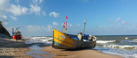 Une plage avec un bateau portant le nom RWL-2, un canot de sauvetage rouge et un goéland sur le sable.