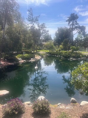 Property grounds - Relax in 2 bedroom apartment with AC in charming Culver City for WORLD CUP 2026 (Culver City)