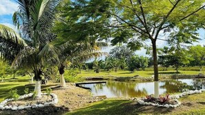 Un jardín ajardinado con un estanque, palmeras y diversos arbustos.