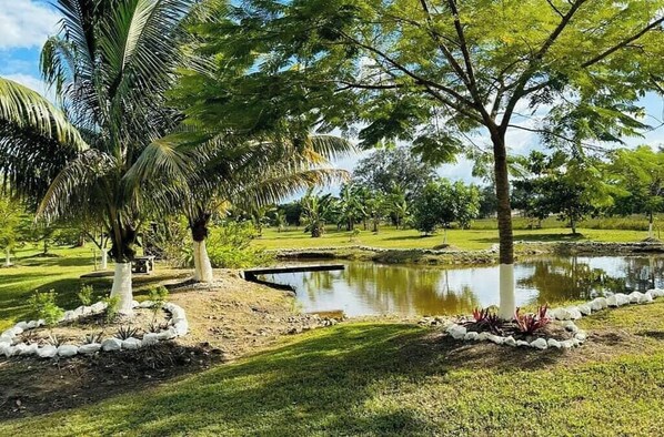 Property grounds - The Gathering Place (Spanish Lookout)