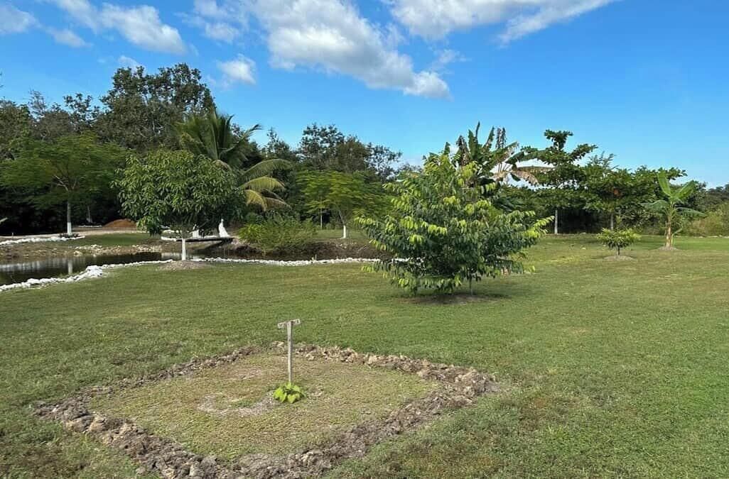 Áreas de la propiedad