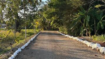 Un chemin pavé bordé de végétation et d’une bordure blanche.