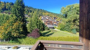 Property grounds - 2nd floor, balcony, tv, 50m², Les Gets (Les Gets)
