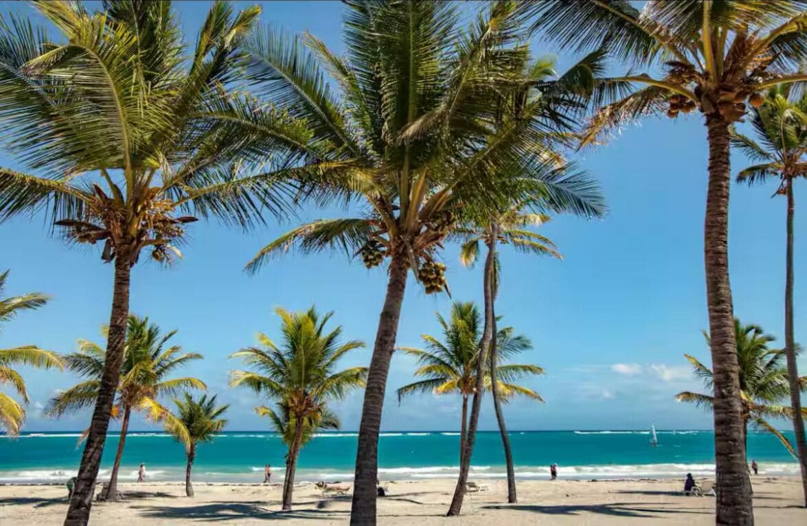 Playa