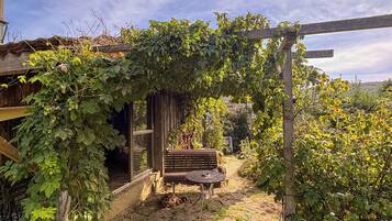 A rustic outdoor seating area with a wooden bench and table, surrounded by lush greenery and a pergola covered in vines.