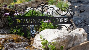 A wrought iron sign with the inscription 'CASA TORRE' amidst rocks and greenery. - Il Casale Sotto La Torre ***(Via del Colle 21, Torano di Borgorose) (Torano)