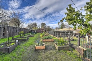 Property grounds -  Adison Gold: 2BR w/ Fully Fenced Yard, Barbecue and pet friendly, Near Downtown (Carmichael)