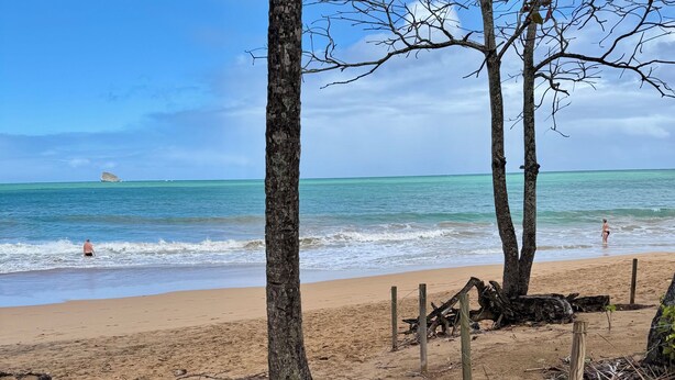 A beach scene with two camping chairs, a small table, and a tree. - Fully equipped car to discover the whole island with ease (Les Abymes)