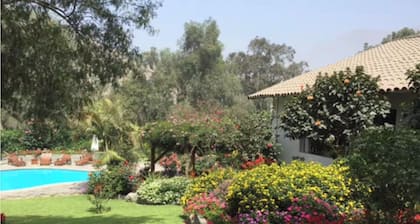 Casa Los Condores by Wynwood House