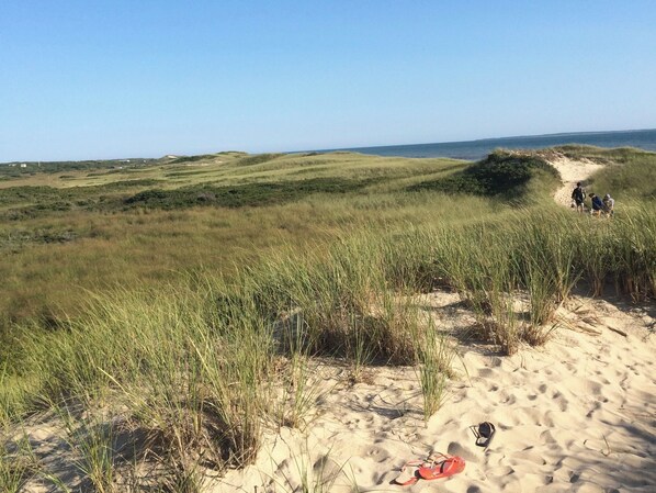 Een zandduinlandschap met gras en een heldere lucht.