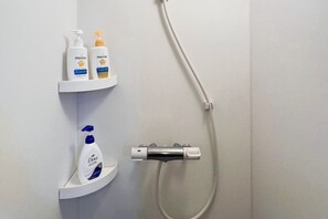 Shower, hair dryer, towels, soap