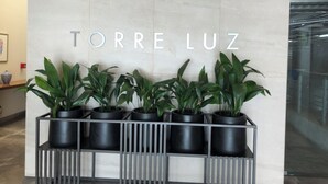Zona de recepción con pared de mármol y el nombre 'TORRE LUZ' en letras grandes. Cuatro plantas en macetas sobre un soporte de metal frente a la pared.