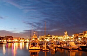 Marina - Casa de Leon (5 min from The Marina) (Cabo San Lucas)