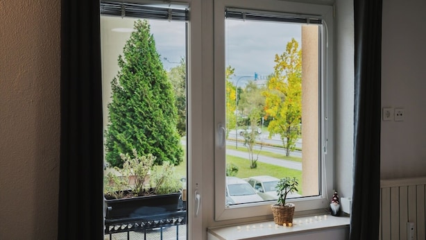 A window with a view of a road and trees, a potted plant on the sill, and a gnome decoration.