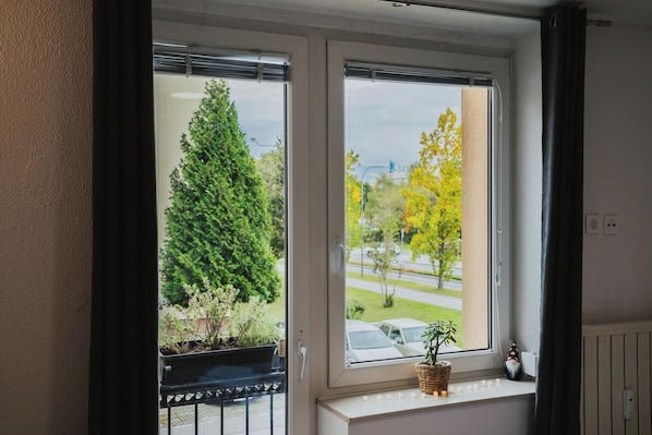 A window with a view of a road and trees, a potted plant on the sill, and a gnome decoration.