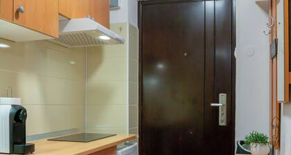 Small but cozy apartment