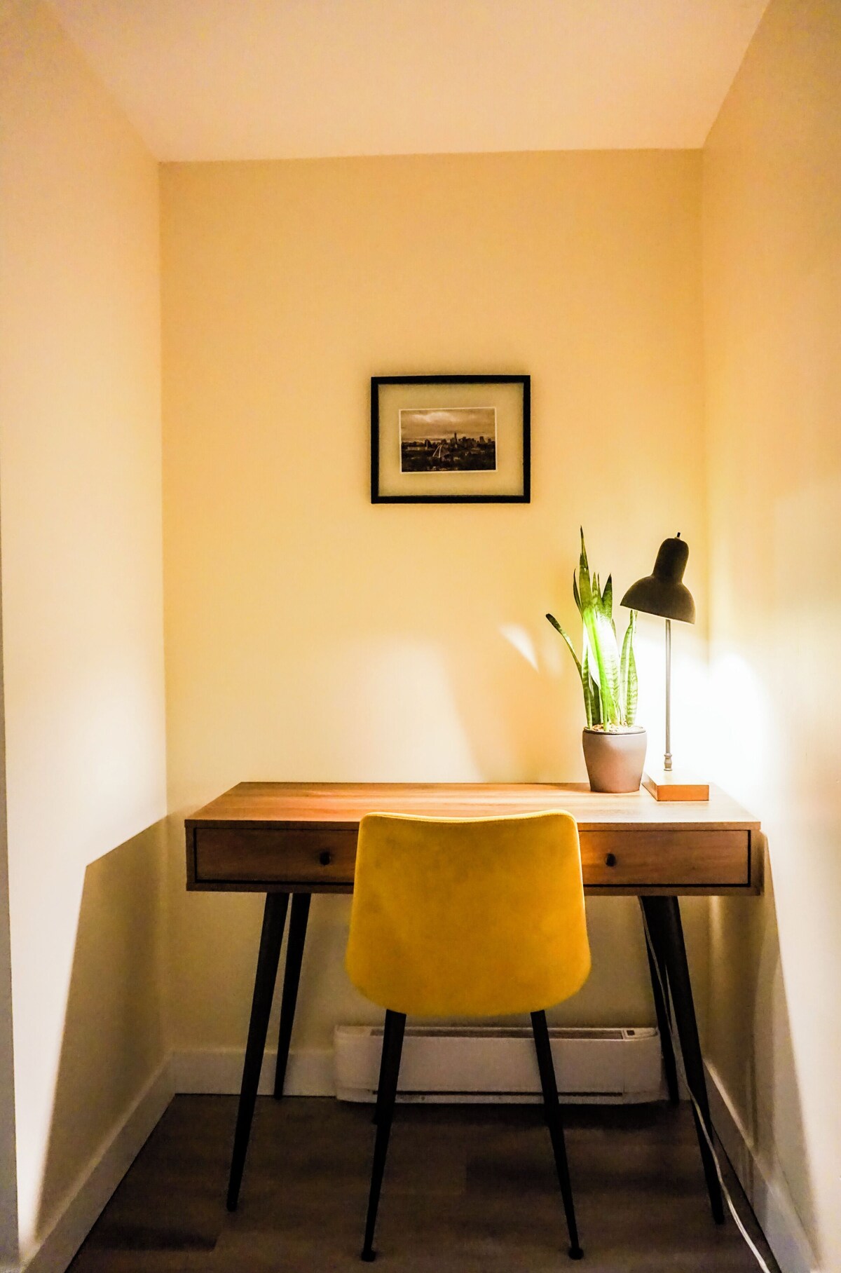 Imagen de perfil del propietario o de la propietaria